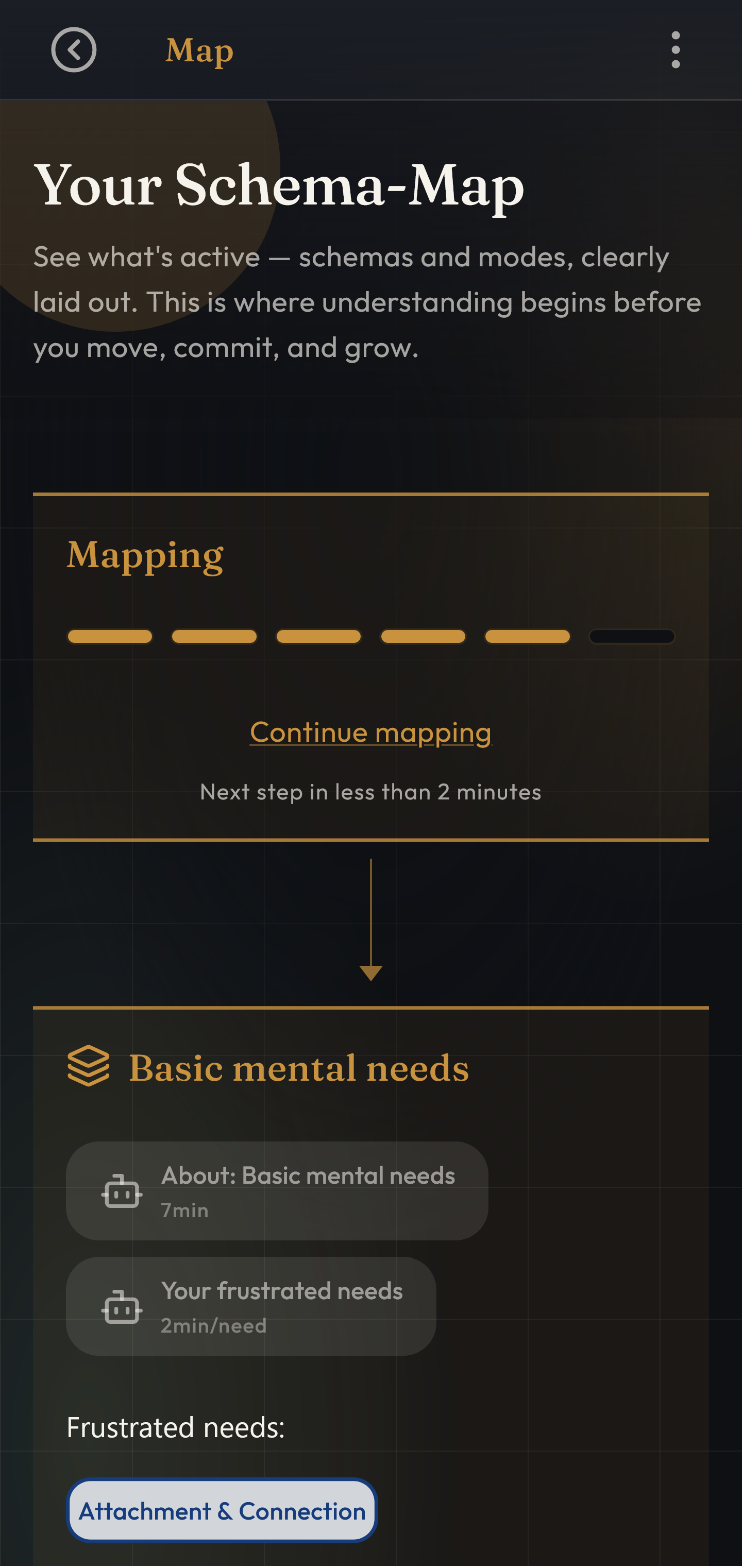 Schemap Schema Map showing your psychological patterns